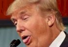 A idiotice do Trump matou 176 inocentes