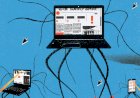 Os sites do governo a serviço de extremismo e fake-news