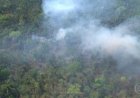 Sustentabilidade: Nossa Amazônia perdeu 8 por cento do seu território em 18 anos