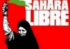 Saara Ocidental: a última colônia africana
