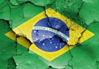 Paulo Guedes: privatização e boiada
