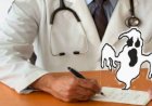 MAIS MÉDICOS MAL FORMADOS