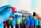 'A guerra mudou': documento interno do CDC pede novas mensagens, adverte infecções delta provavelmente mais graves
