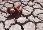 Os rios e lagos do Brasil estão desaparecendo?