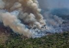 Pesquisador do Inpa desmente Bolsonaro sobre Amazônia não pegar fogo