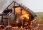 Invasões, incêndios e ameaças de morte: indígenas vivem onda de ataques após COP26