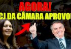 Comissão sugere revogação da ‘PEC da Bengala’ para dar uma bengala a Bolsonaro