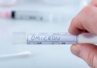 Afinal, como surgiu a nova variante Ômicron do coronavírus?