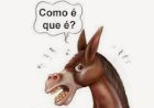 Bolsonaro critica vacinação de crianças: 'Tarados por vacinas'