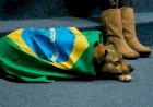 O brasileiro é cordial ou simplesmente cordeiro?