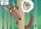 O lobismo como uma promissora carreira jurídica nos EUA