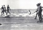 História: A revolução de 1922, por Sérgio Rubens Torres