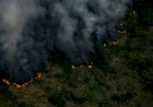 Amazônia registra maior média diária de queimadas do governo Bolsonaro