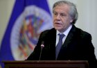Chefe da OEA é investigado por relacionamento com funcionária