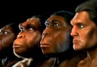 Somos 8 bilhões de pessoas neste mundo; seremos 9 bilhões em 2037