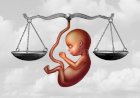 EM MEIO A AGRESSÕES, VOTAÇÃO DE PROIBIÇÃO DO ABORTO É ADIADA NA CÂMARA