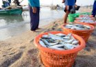 Fiocruz avisou governo Bolsonaro sobre peixes contaminados por mercúrio