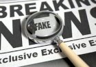 Especialista brasileira vai defender PL das Fake News em cúpula do Prêmio Nobel