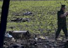 Coronel aposentado do Exército dos EUA diz que 