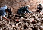 Documentos inéditos indicam que Crematório da Vila Alpina foi planejado para ocultar cadáveres da ditadura