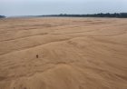 Seca no Amazonas: Rio Negro atinge menor nível em 121 anos, com apenas 13,59 metros
