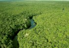 Desmatamento cai 73% em áreas protegidas da Amazônia, melhor resultado em nove anos