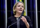 “Campos Neto trabalha para sabotar o Brasil”, afirma Gleisi
