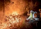 Brasil lidera ranking de queimadas no mundo com mais de 200 mil focos de incêndio em 2024