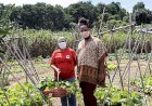 Como a inflação dos alimentos se volta contra Lula 