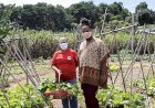 O governo e a inflação de alimentos