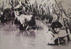 Vietnã, 50: A coragem anticolonial das mulheres