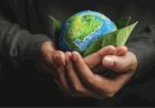 COP30: o que é, quando acontece e o que será discutido em Belém