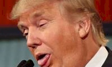 A idiotice do Trump matou 176 inocentes