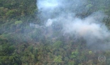 Mourão não diz inverdades sobre a Amazônia