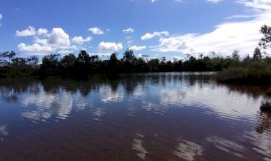 Ambientalistas do Psol-DF requerem ao MPF a anulação do decreto de privatização do Parque Nacional de Brasília