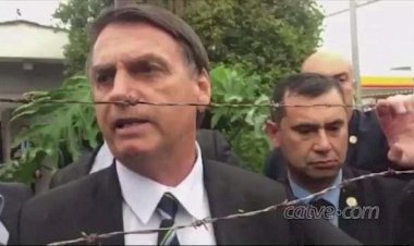 Bolsonaro recua e diz que não vai acusar países por compra de madeira ilegal
