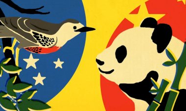 Parceria China-Brasil e as potências desperdiçadas