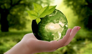 ESG: três letras que estão revolucionando o mundo dos negócios