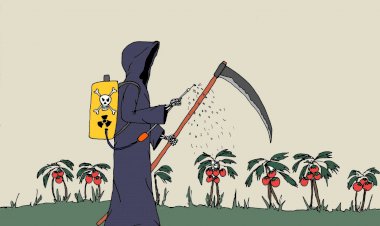 Defensor de agrotóxicos representará Brasil em cúpula da ONU sobre alimentação