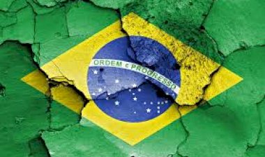 Paulo Guedes: privatização e boiada
