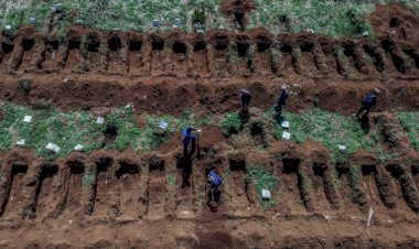 Brasil: as mortes da negligência