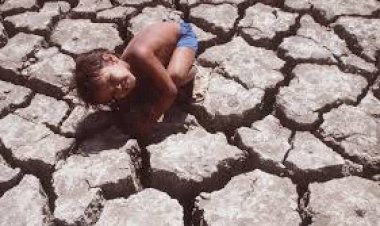 Os rios e lagos do Brasil estão desaparecendo?