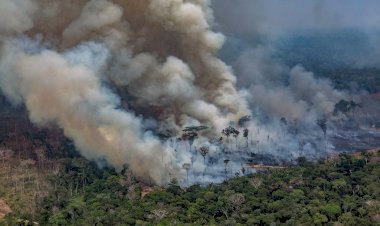 Pesquisador do Inpa desmente Bolsonaro sobre Amazônia não pegar fogo