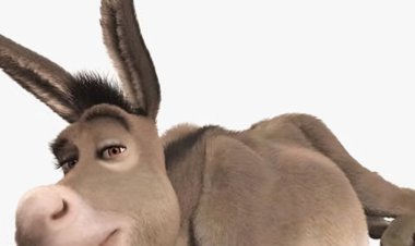 BRASILEIROS COLOCAM DOCILMENTE MÁSCARAS DE IMBECIS QUE AS FINANÇAS VENDEM