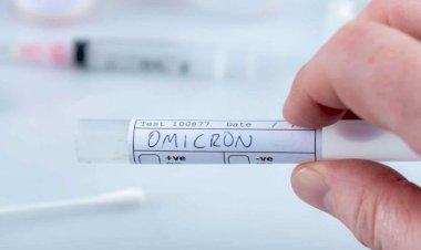 Afinal, como surgiu a nova variante Ômicron do coronavírus?