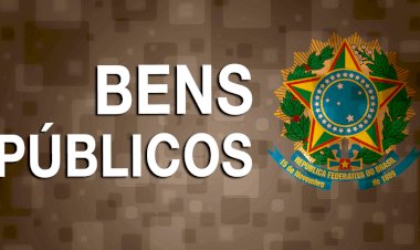 A captura de bens públicos, comuns ou globais por atores privados