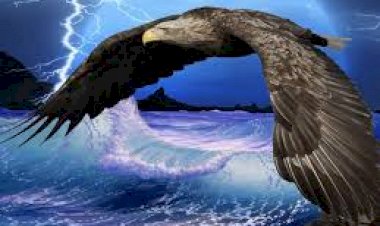 Operação Condor: Justiça da Argentina inicia ação por sequestro de brasileiro