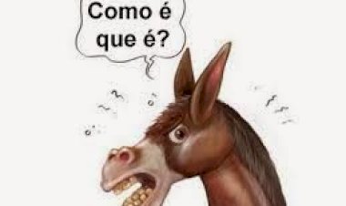 Bolsonaro critica vacinação de crianças: 'Tarados por vacinas'