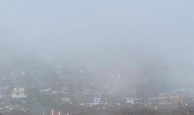 Tragédia em Petrópolis: Névoa interrompe buscas no Morro da Oficina