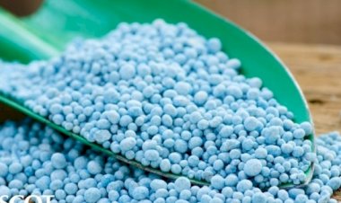 Saída da Petrobrás do setor de fertilizantes aumentou dependência das importações da Rússia